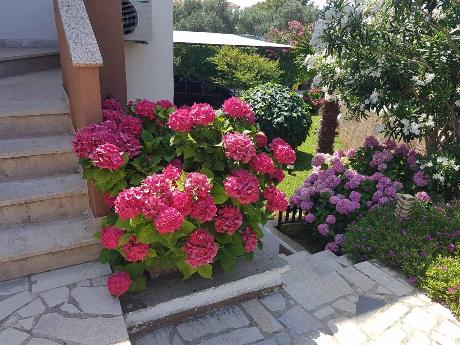 Apartments Mira Krk Кърк Екстериор снимка